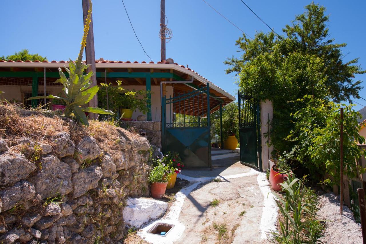 Basil & Guest House Lazaráta Dış mekan fotoğraf