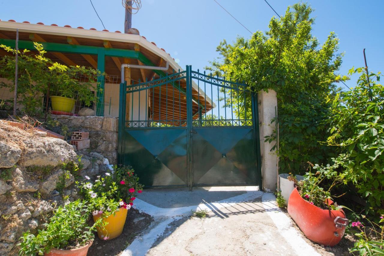 Basil & Guest House Lazaráta Dış mekan fotoğraf